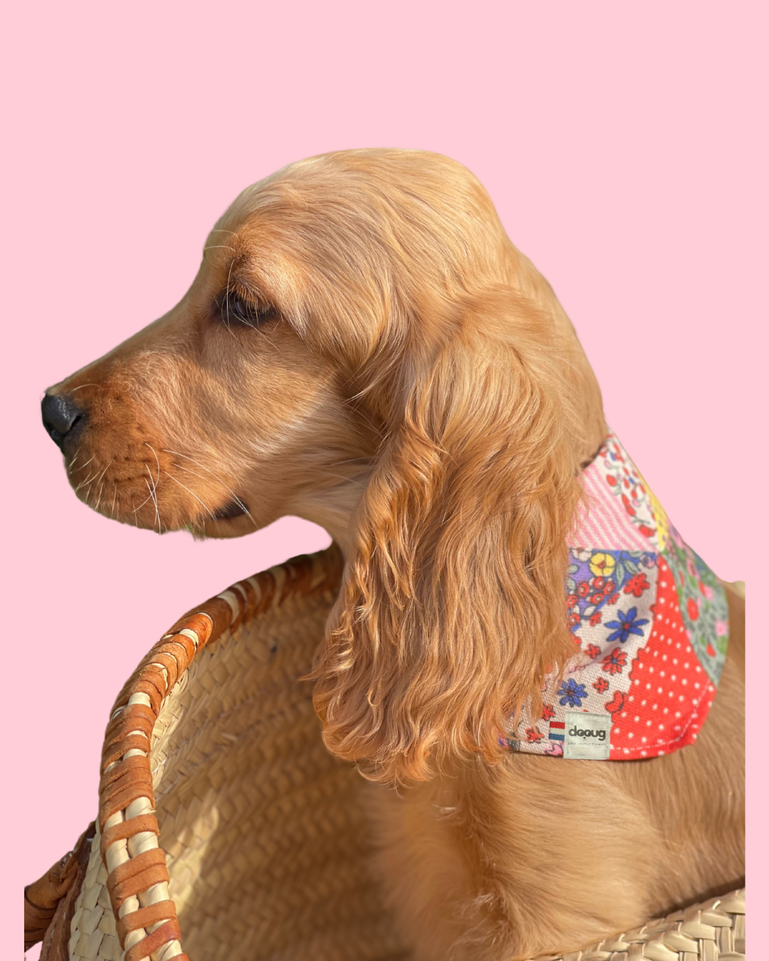 Bandana pour chien personnalisable PATCHWORK