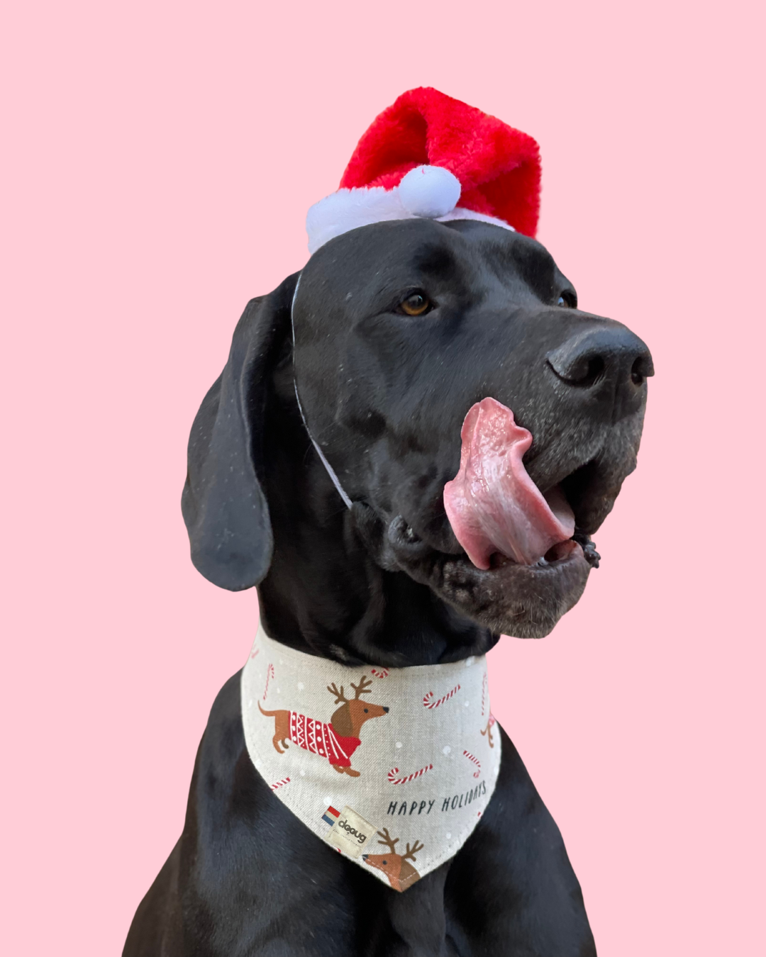 Bandana pour chien personnalisable TECKELS DE NOËL
