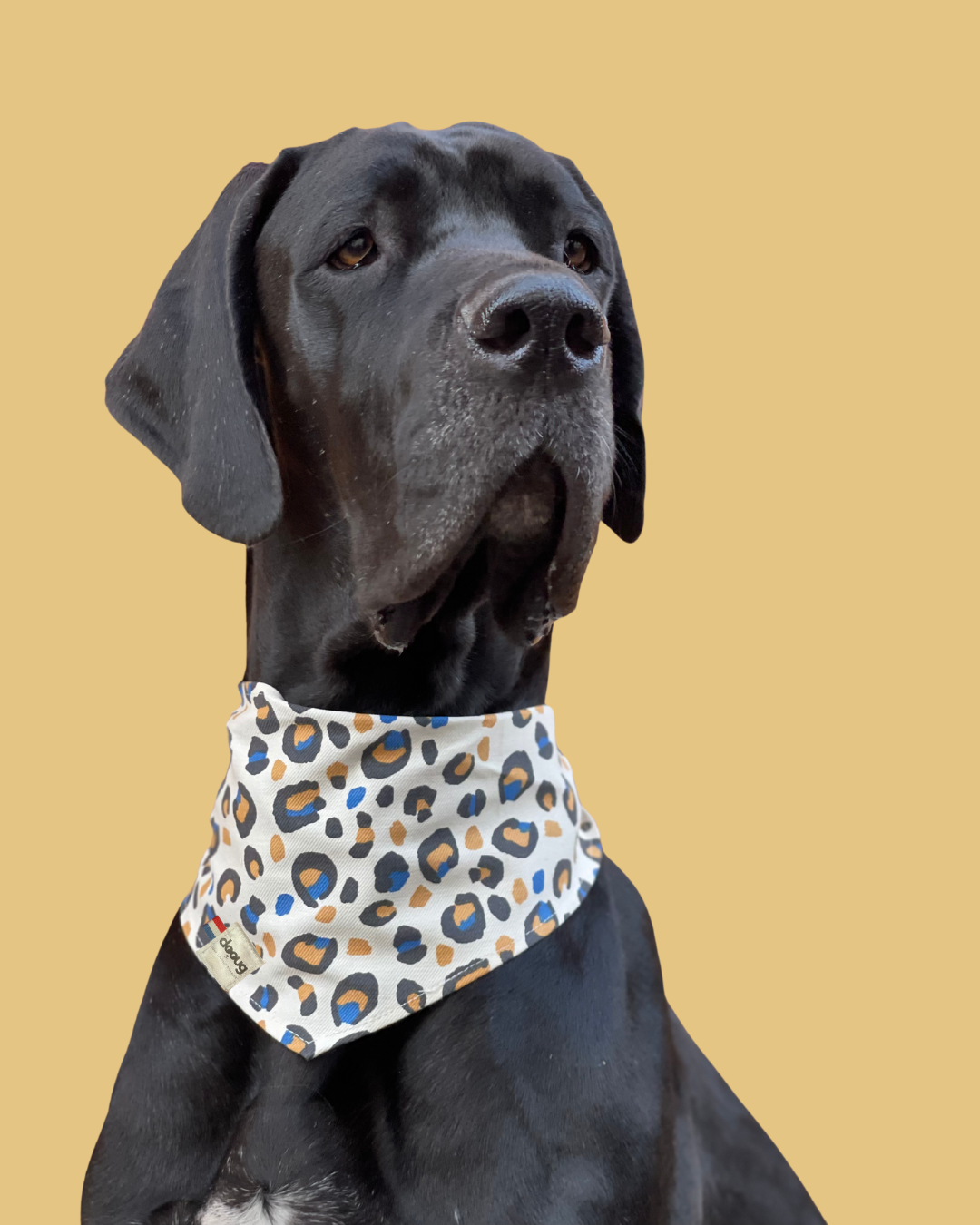 Bandana pour chien personnalisable LEOPARD BLEU