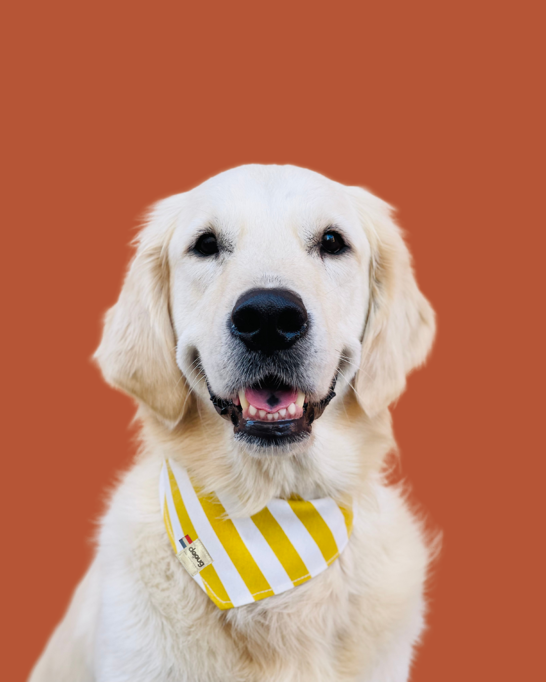 Bandana pour chien personnalisable CAPRI