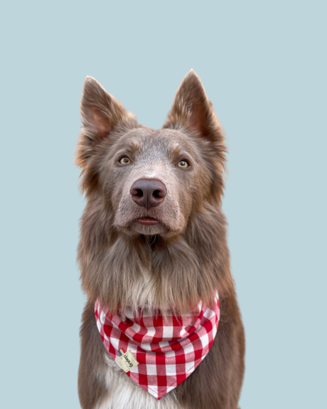 Bandana pour chien personnalisable VICHY ROUGE