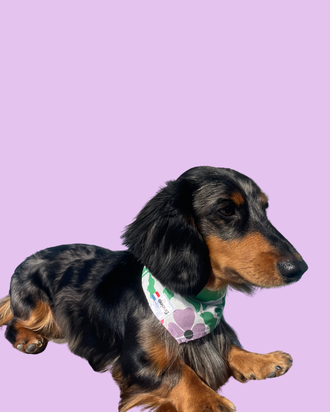 Bandana pour chien FLOWERS