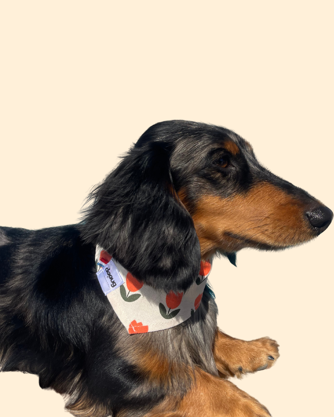 Bandana pour chien TULIPE