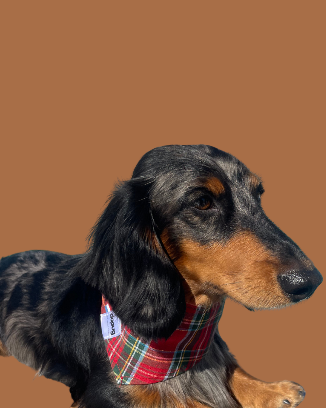 Bandana pour chien TARTAN