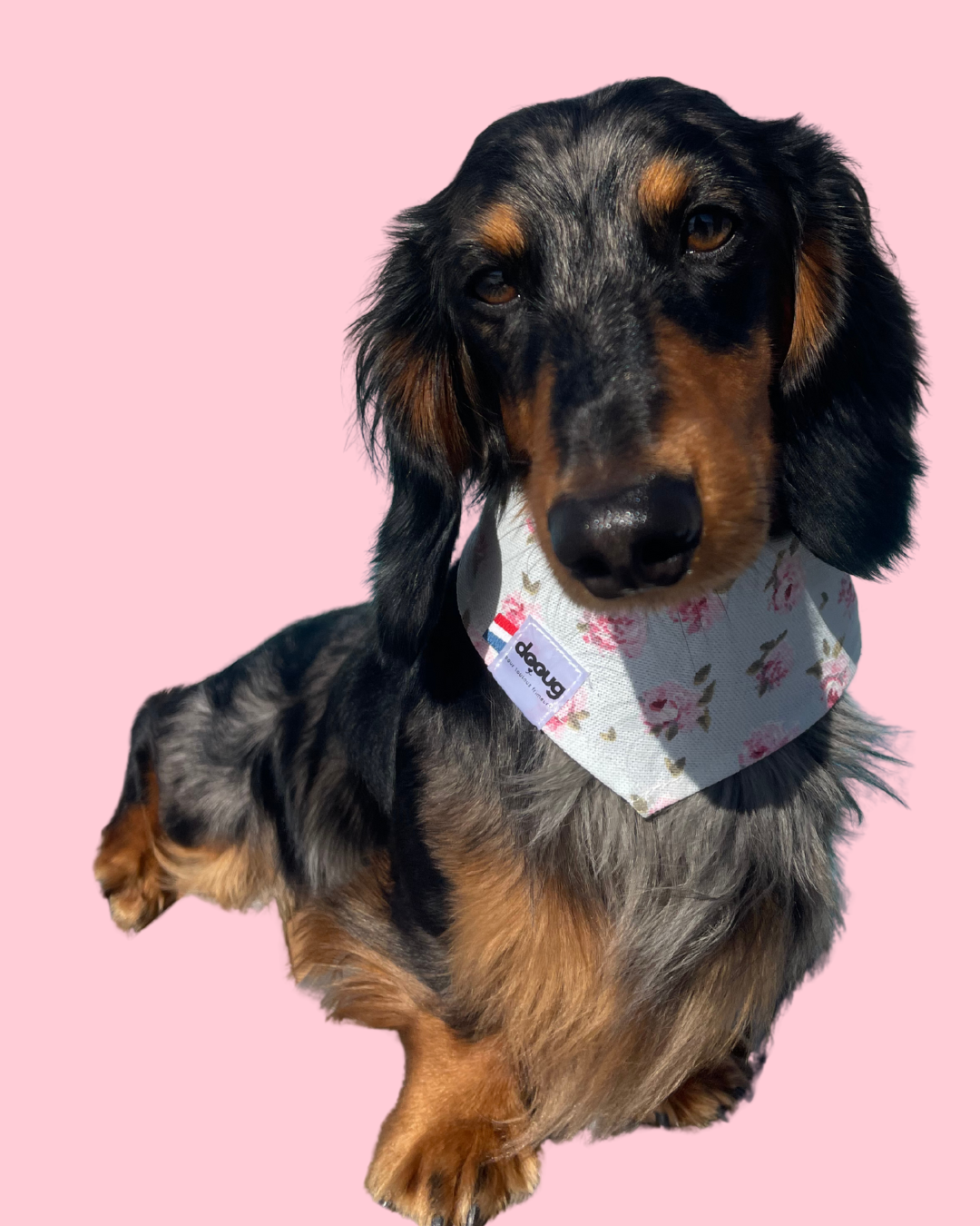 Bandana pour chien ROSES
