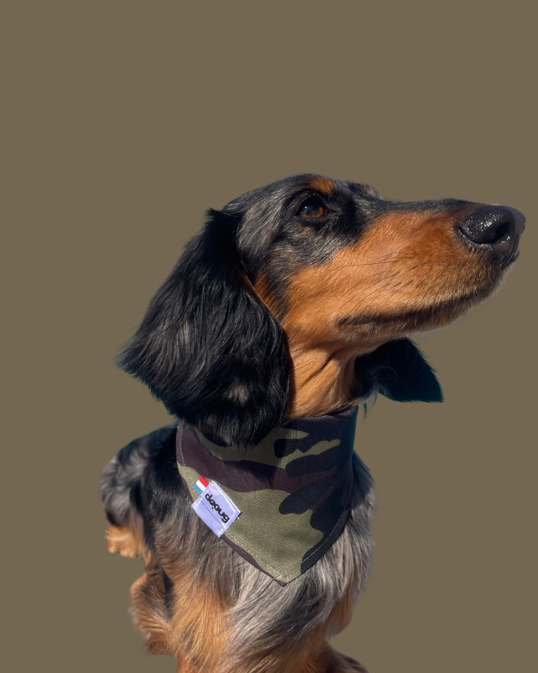 Bandana pour chien CAMOUFLAGE