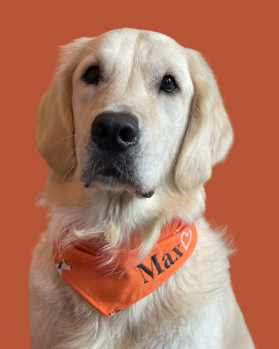 Bandana pour chien personnalisable DOG
