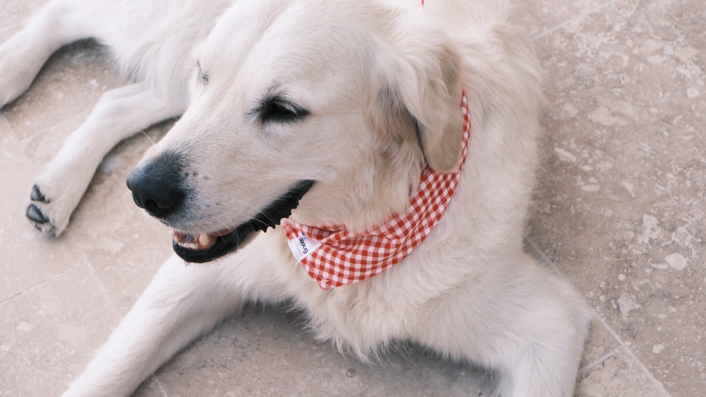 Bandana pour chien personnalisable VICHY ROUGE