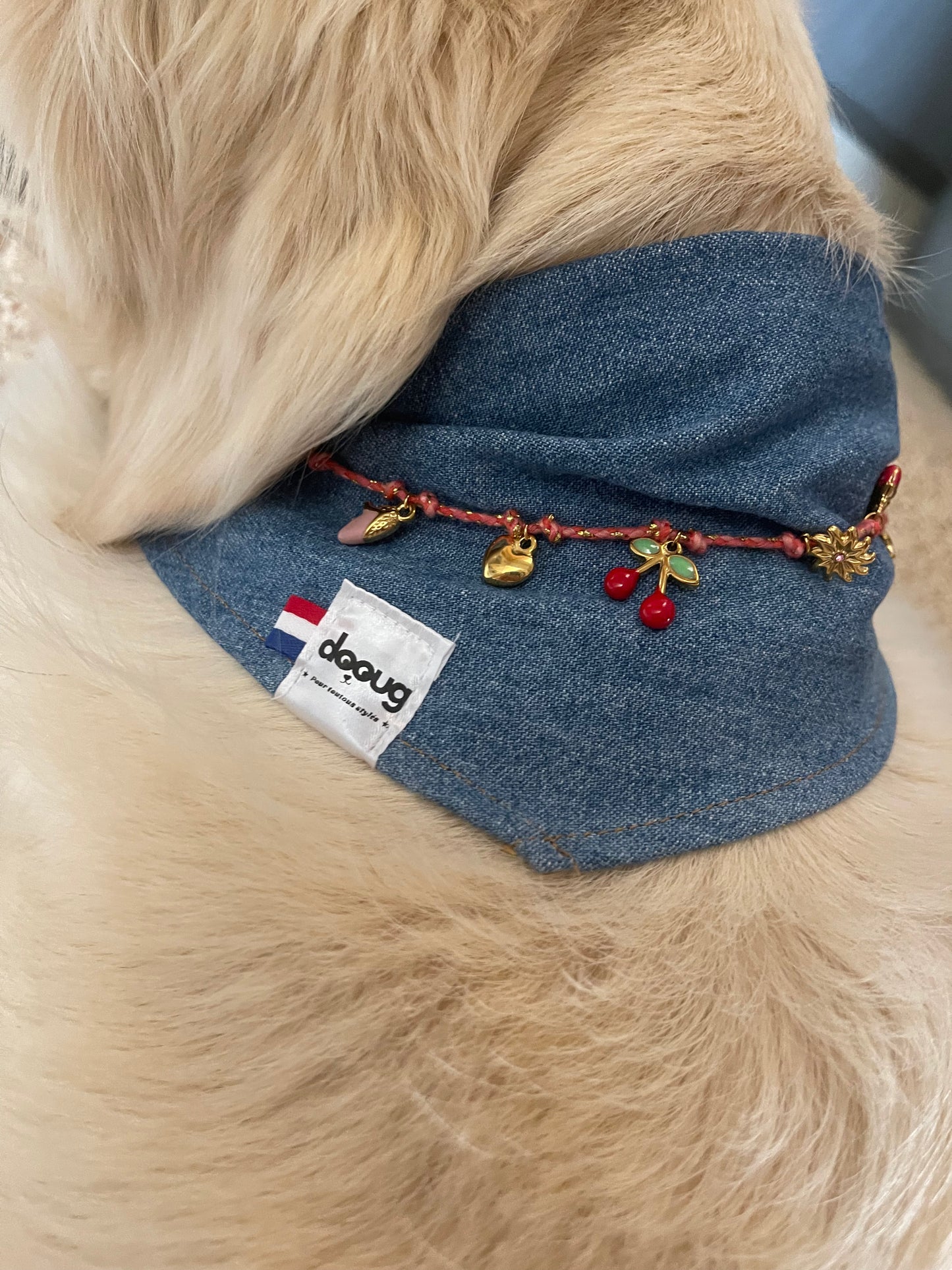 Bandana charm's