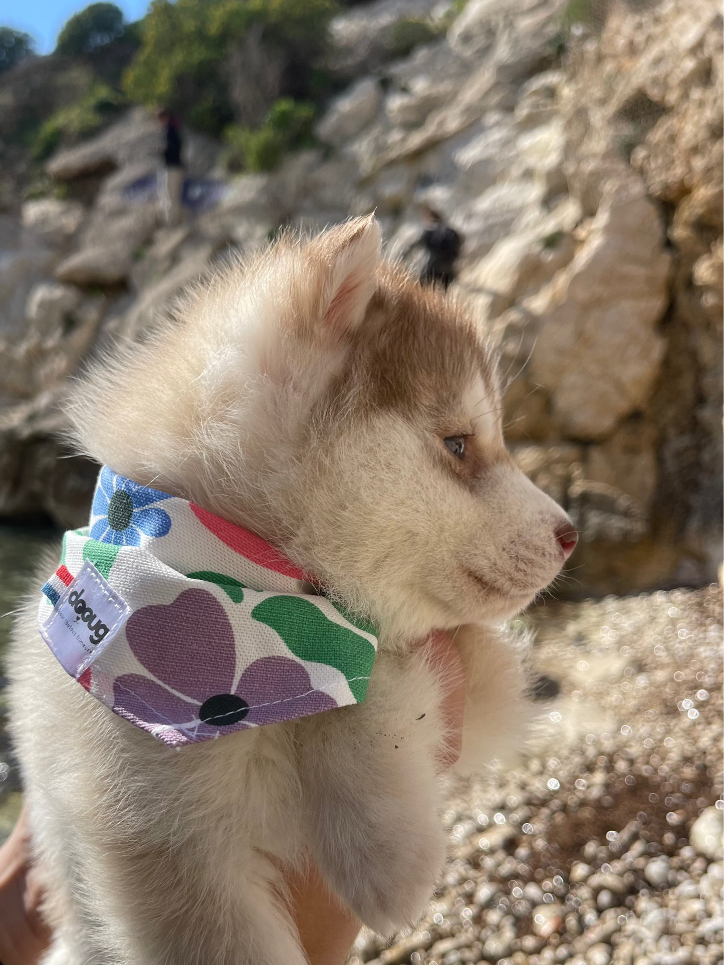 Bandana pour chien FLOWERS