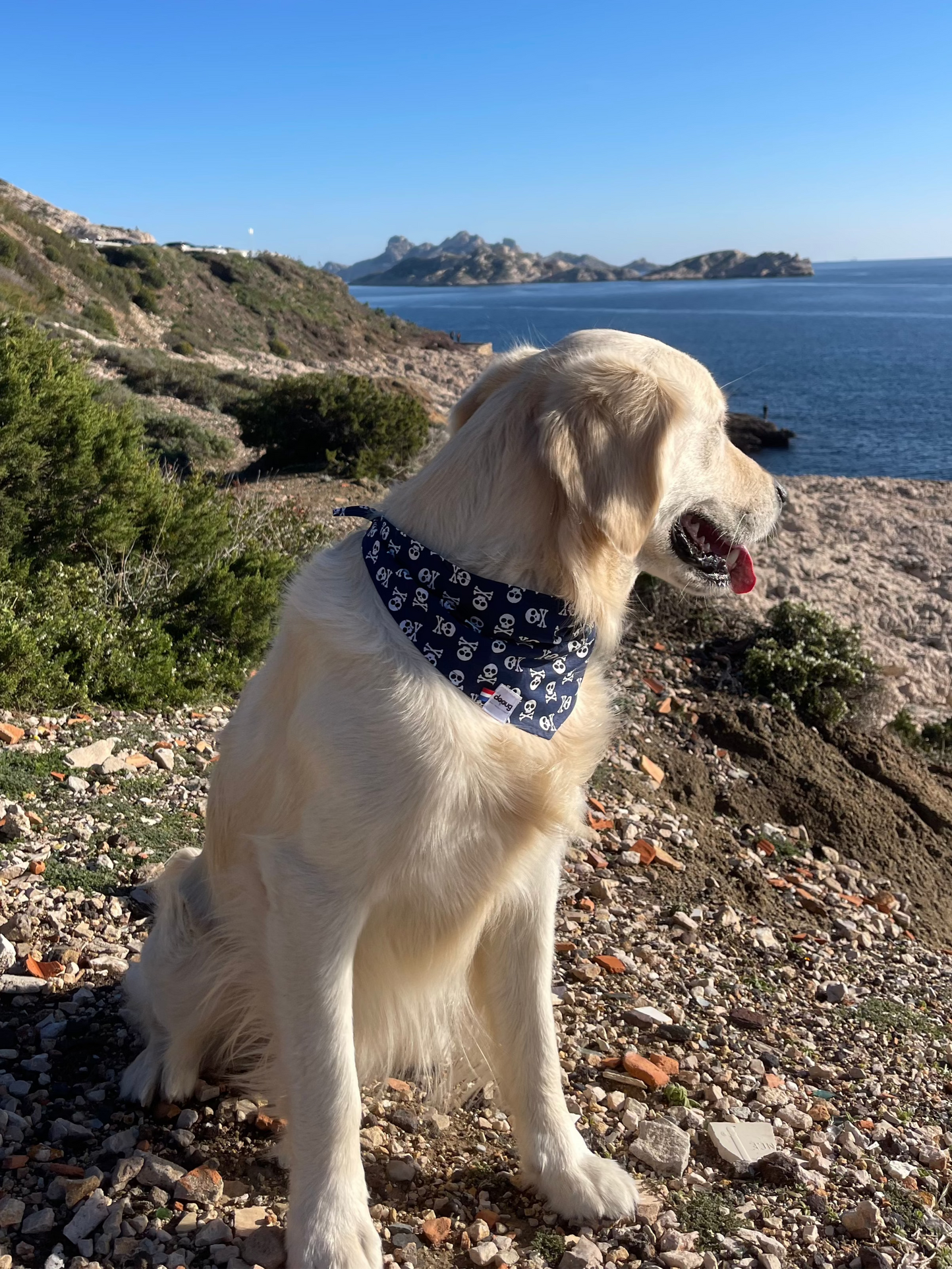 Bandana pour chien REBEL