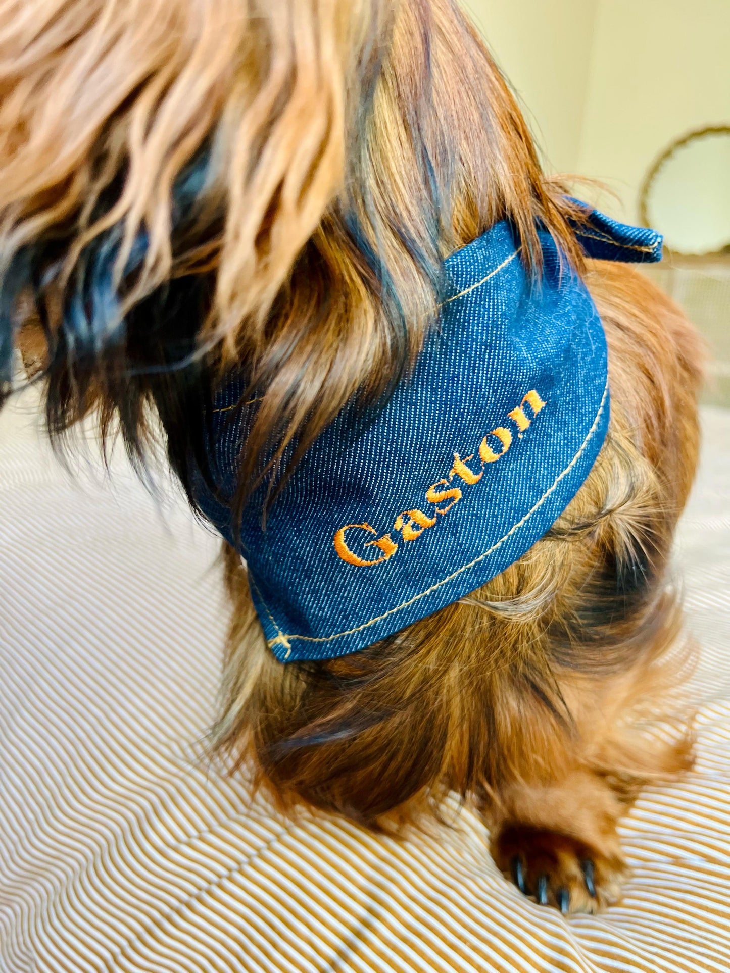 Bandana pour chien personnalisable JEAN BRUT