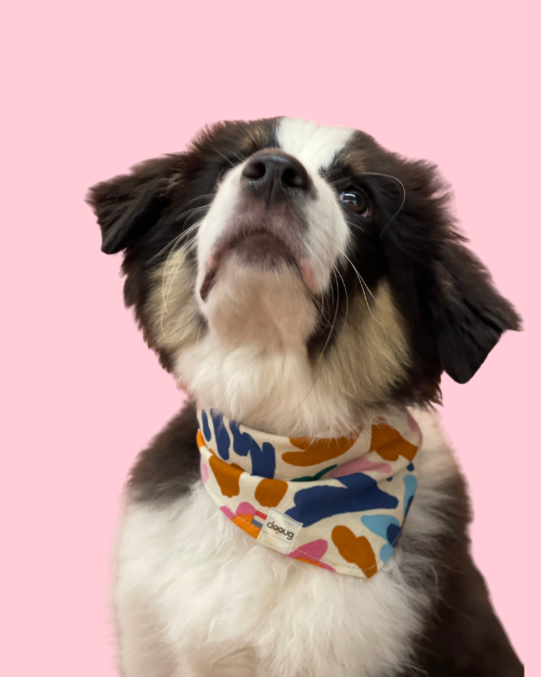 Bandana pour chien personnalisable SPRING
