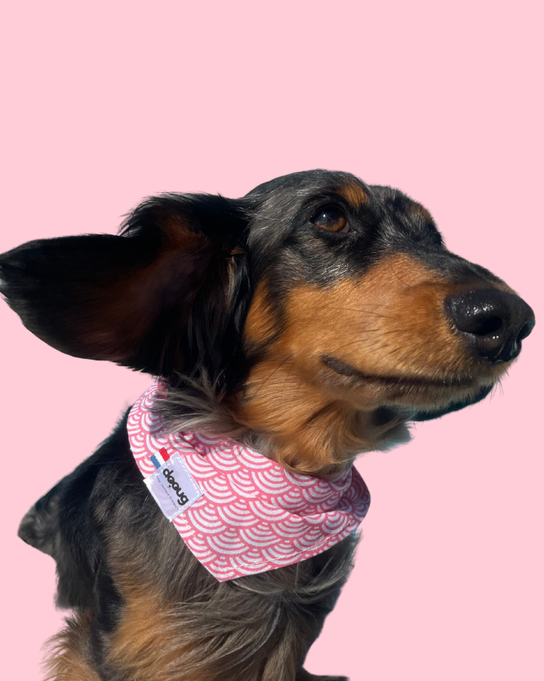 Bandana pour chien personnalisable PINK JAPON