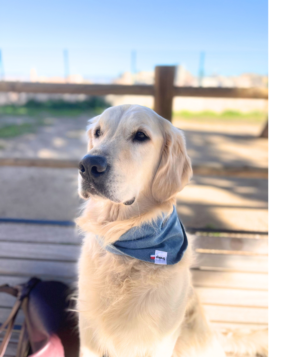 Bandana pour chien JEAN CLAIR