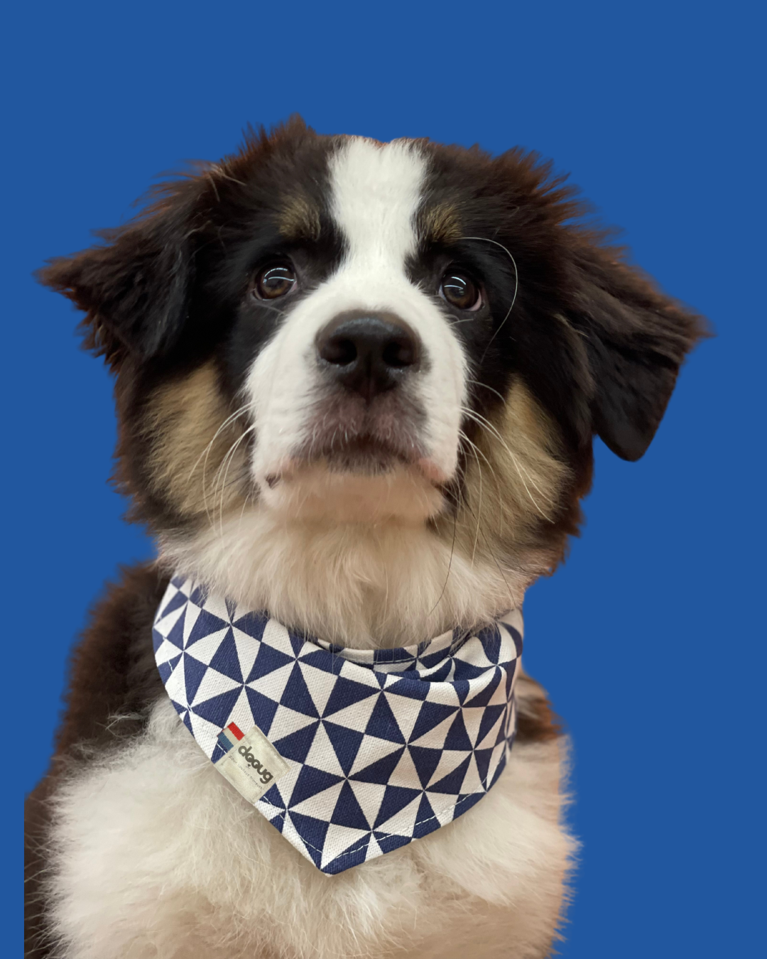 Bandana pour chien personnalisable GÉOMÉTRIQUE