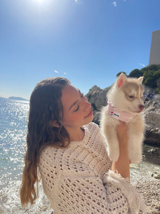 Bandana pour chien DALMATIEN