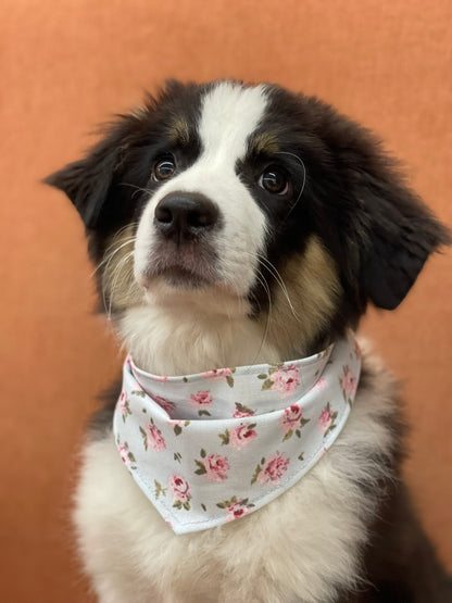 Bandana pour chien personnalisable ROSES