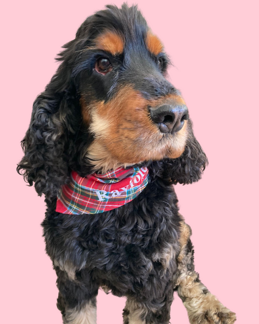 Bandana pour chien personnalisable TARTAN