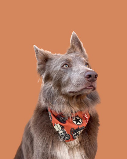 Bandana pour chien personnalisable LE MOTARD