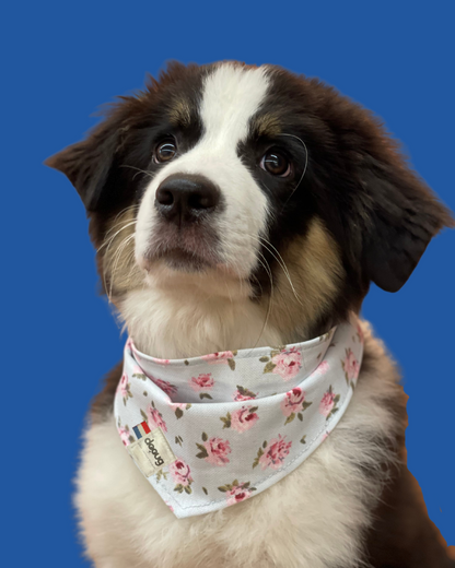 Bandana pour chien personnalisable ROSES