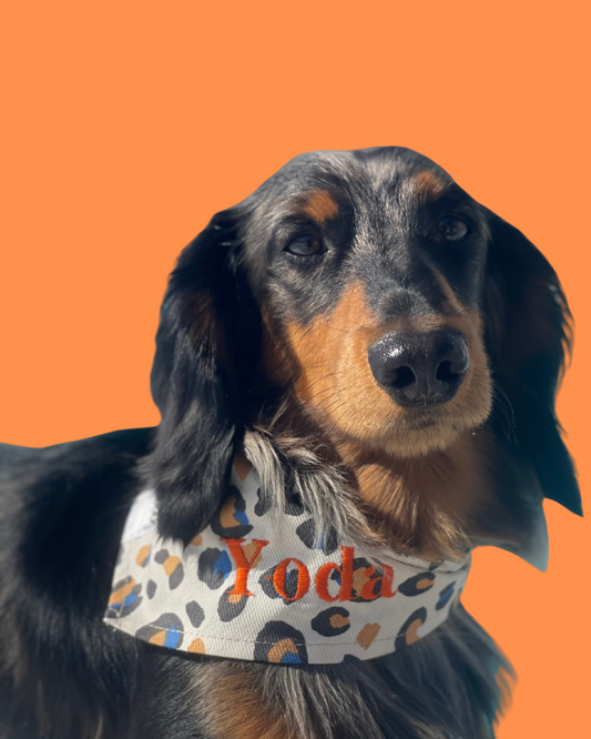 Bandana pour chien personnalisable LEOPARD BLEU