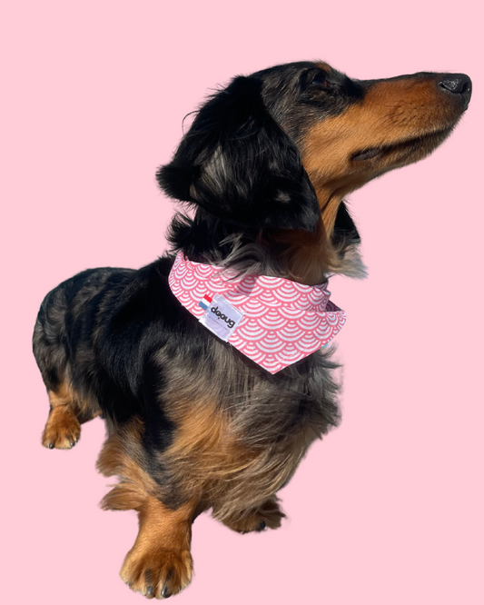 Bandana pour chien personnalisable PINK JAPON