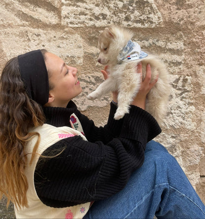 Bandana pour chien personnalisable TOILE DE JOUY
