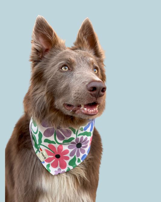 Bandana pour chien personnalisable FLOWERS