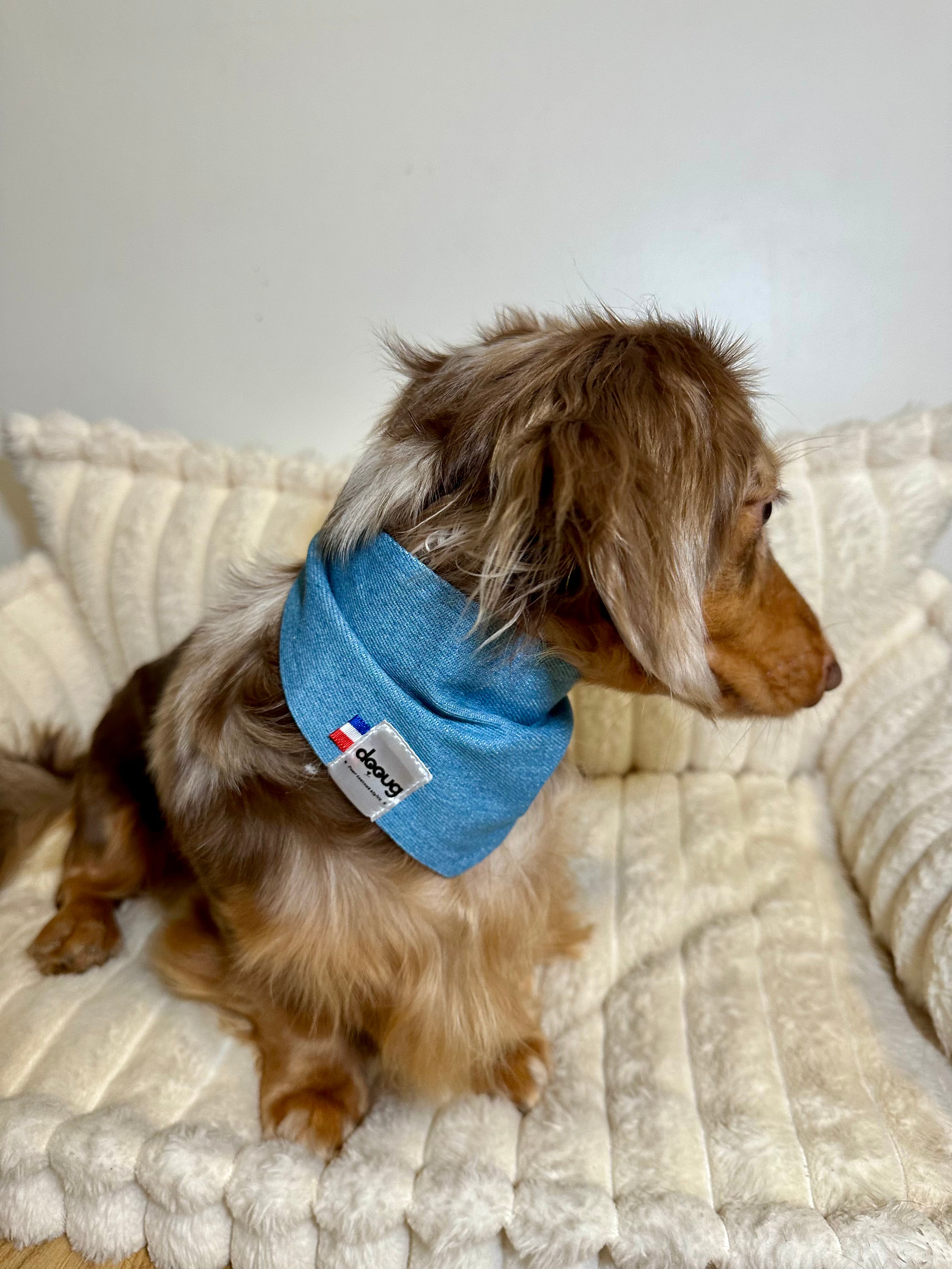 Bandana pour chien JEAN CLAIR