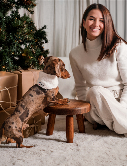 Bandana pour chien bouclette écru