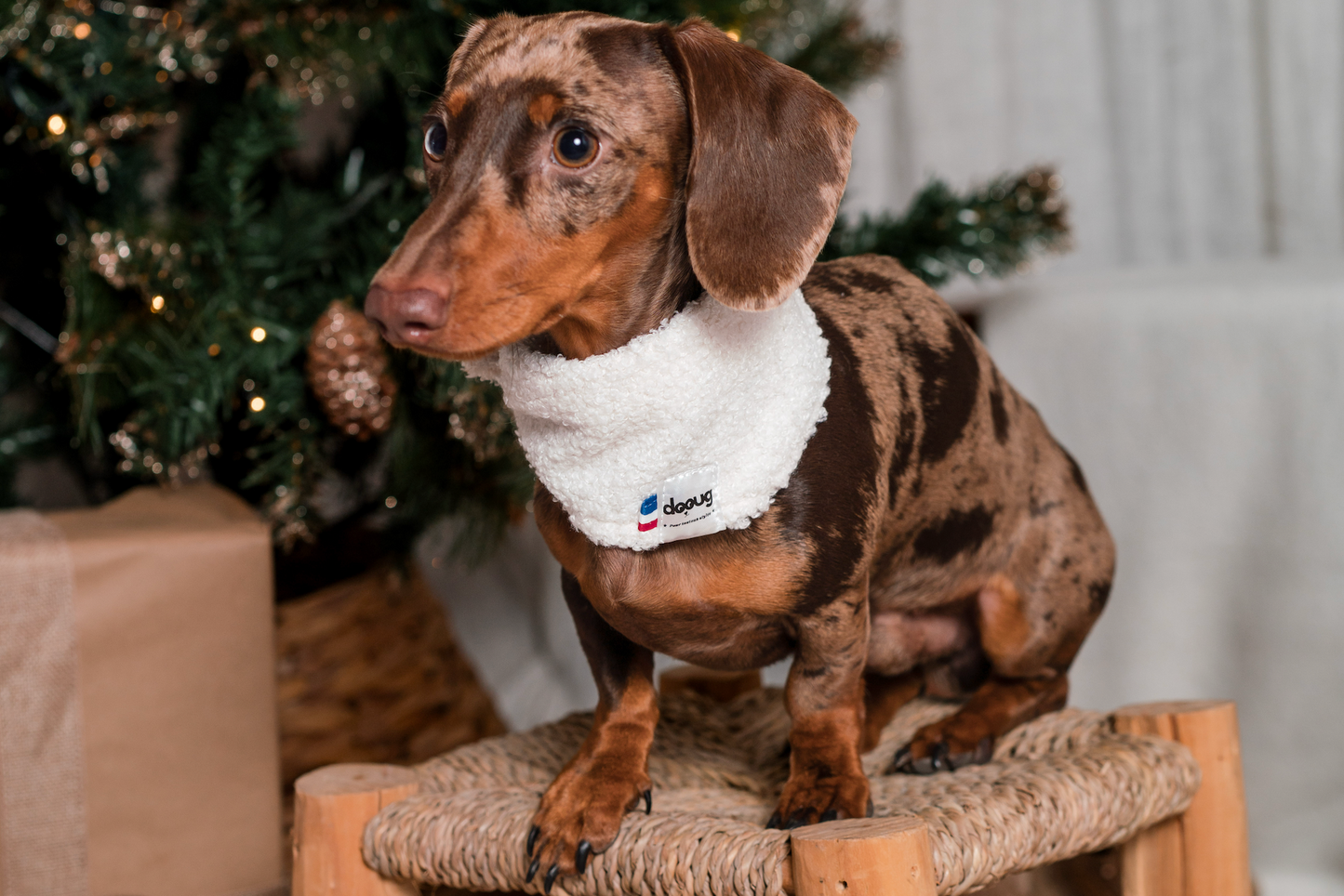 Bandana pour chien bouclette écru
