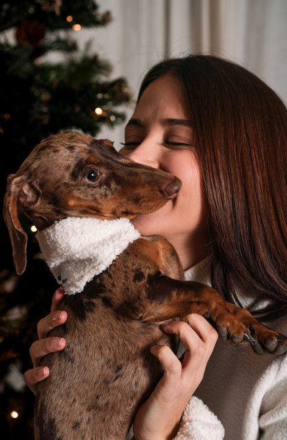 Bandana pour chien bouclette écru