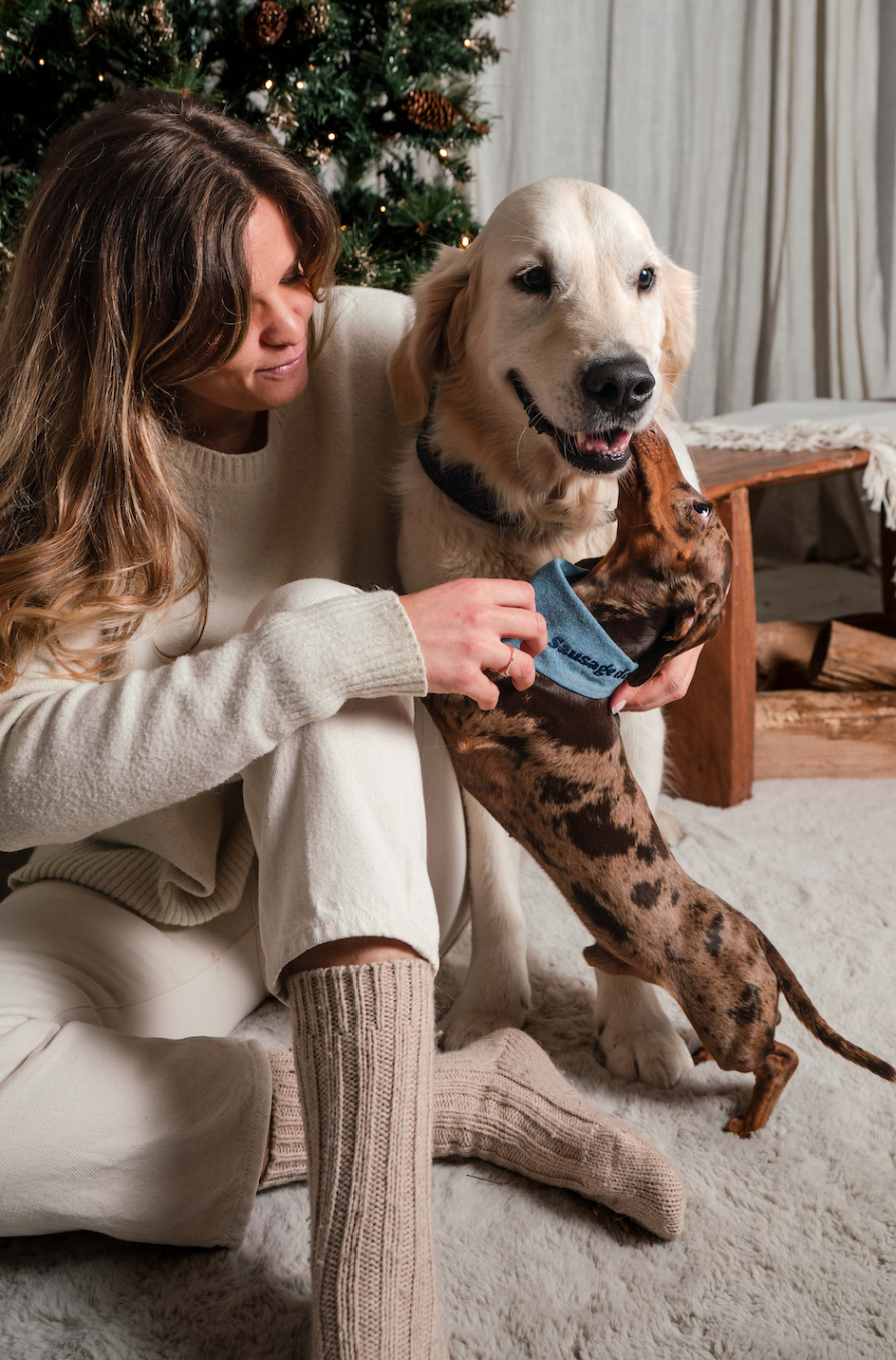 Bandana pour chien à message SAUSAGE DOG 🌭