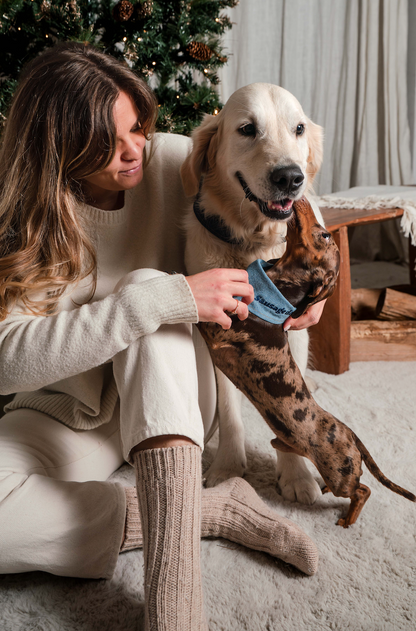Bandana pour chien à message SAUSAGE DOG 🌭