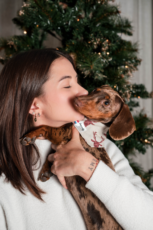 Bandana pour chien CERF