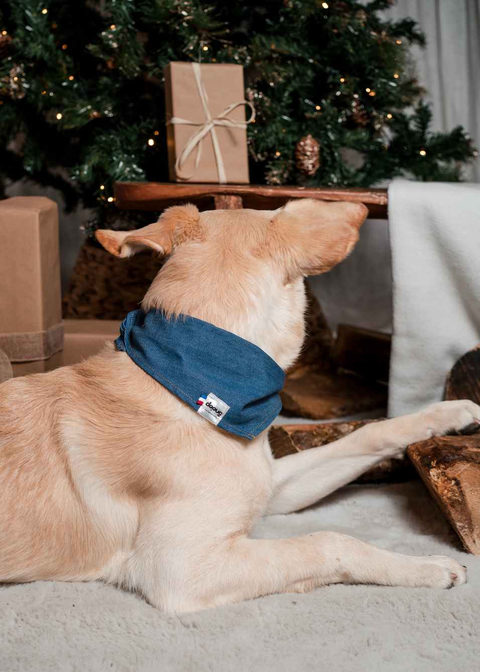 Bandana pour chien personnalisable JEAN BRUT
