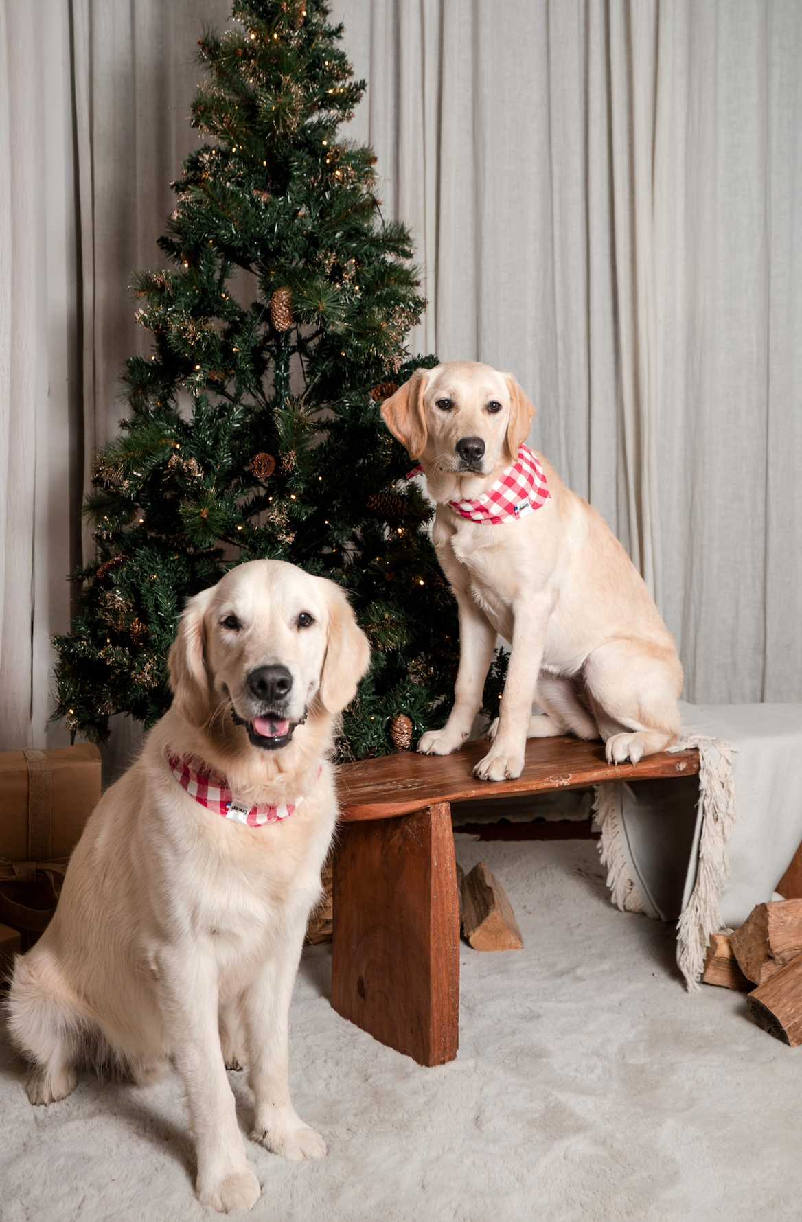 Bandana pour chien personnalisable VICHY ROUGE