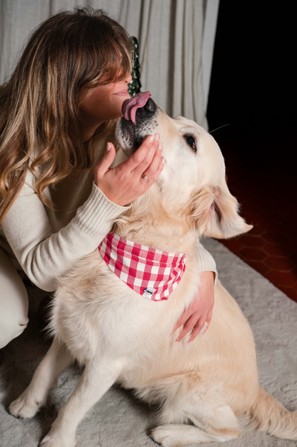 Bandana pour chien personnalisable VICHY ROUGE