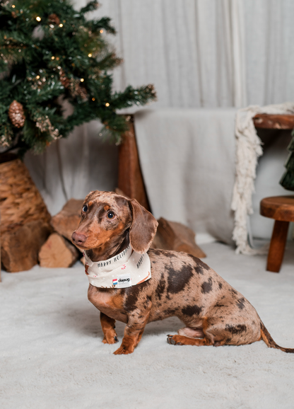 Bandana pour chien personnalisable TECKELS DE NOËL
