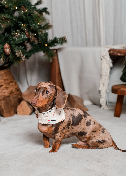 Bandana pour chien personnalisable TECKELS DE NOËL