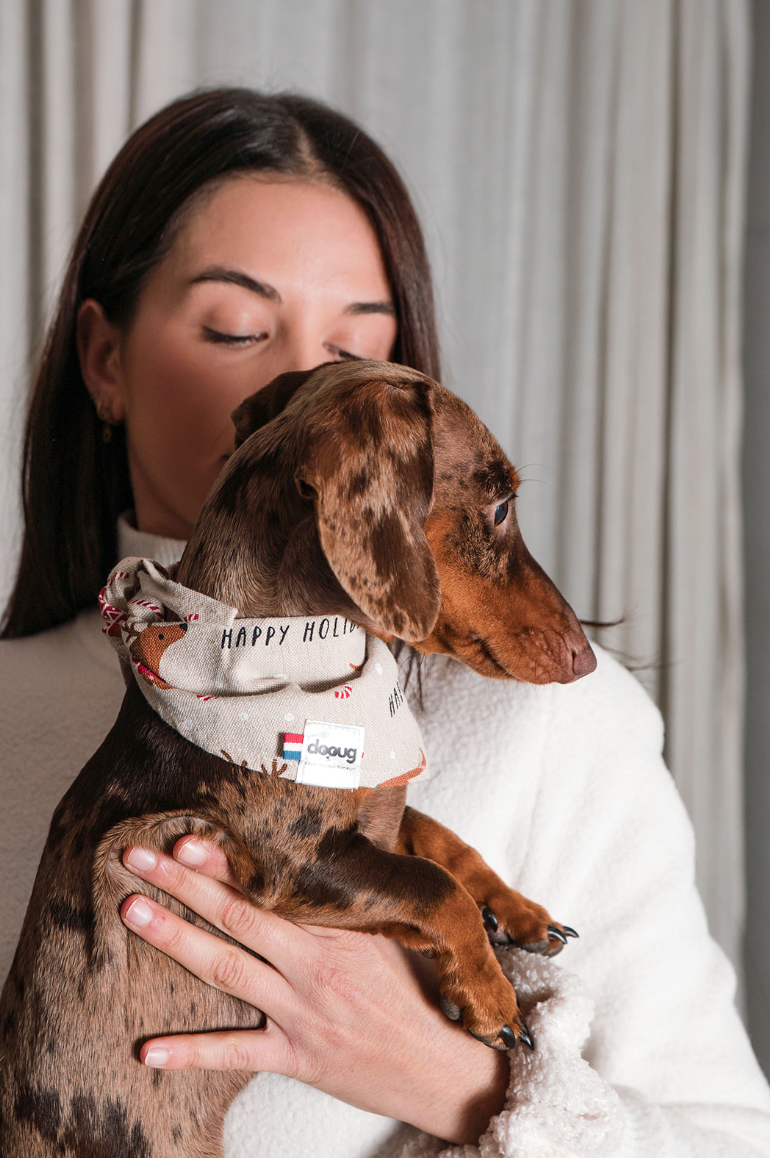Bandana pour chien personnalisable TECKELS DE NOËL