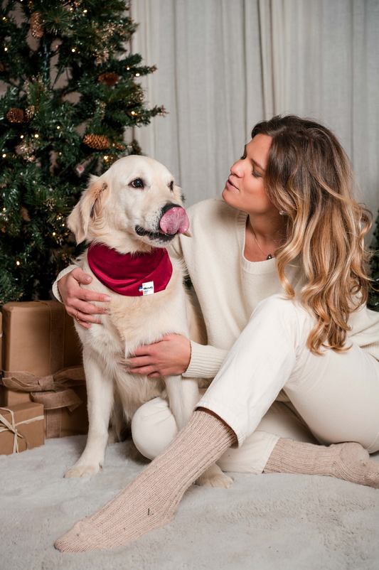 Bandana pour chien velour rouge