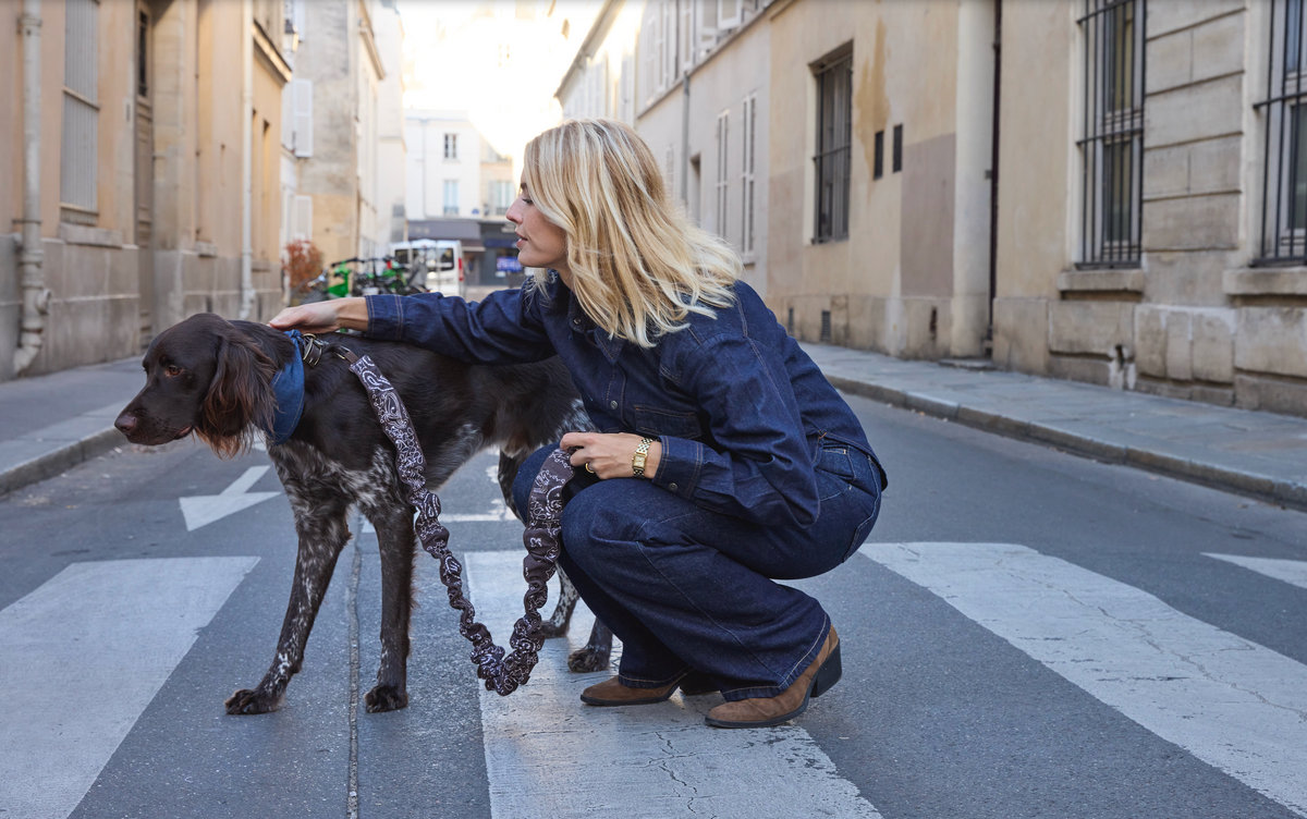 LAISSE MULTI-POSITIONS IMPRIMÉ BANDANA MARRON