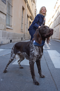 LAISSE MULTI-POSITIONS IMPRIMÉ BANDANA MARRON