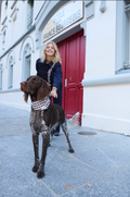 Bandana pour chien VICHY MARRON