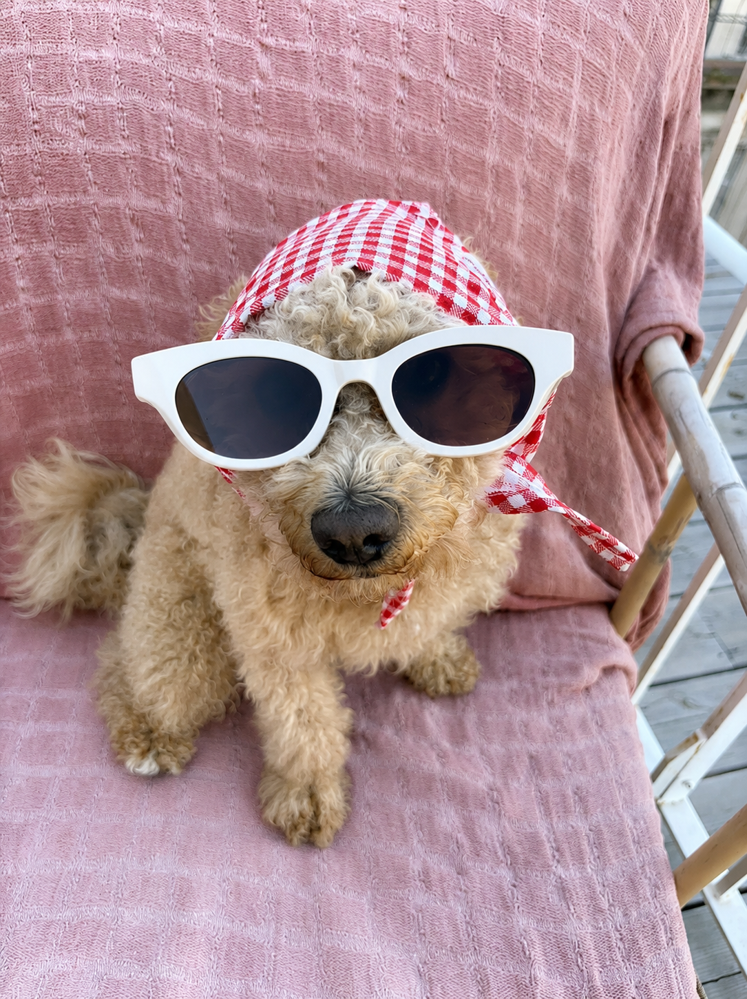 BANDANA VICHY ROUGE