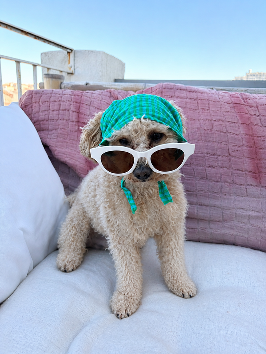 BANDANA RAYÉ TURQUOISE ET VERT