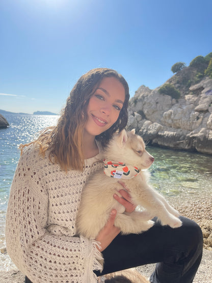 Bandana pour chien personnalisable TULIPE