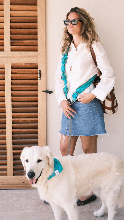 LAISSE RAYÉ TURQUOISE ET VERT